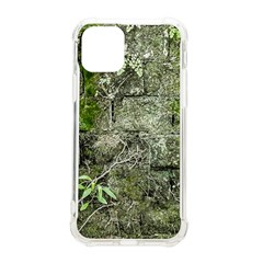 Old Stone Exterior Wall With Moss Iphone 11 Pro 5 8 Inch Tpu Uv Print Case by dflcprintsclothing