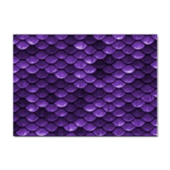 Purple Scales! Sticker A4 (100 Pack)