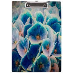 Hydrangeas-blossom-bloom-blue A4 Acrylic Clipboard by Ravend