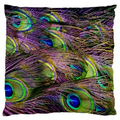 Green Purple And Blue Peacock Feather Standard Premium Plush Fleece Cushion Case (two Sides)