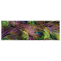 Green Purple And Blue Peacock Feather Banner And Sign 12  X 4  by Jancukart