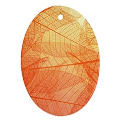 Orange Leaves Colorful Transparent Texture Of Natural Background Ornament (oval)