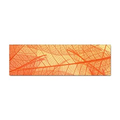 Orange Leaves Colorful Transparent Texture Of Natural Background Sticker (bumper) by Jancukart