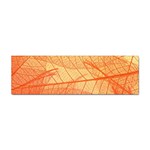 Orange Leaves Colorful Transparent Texture Of Natural Background Sticker Bumper (10 pack) Front