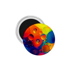 Colorfull Pattern 1 75  Magnets by artworkshop