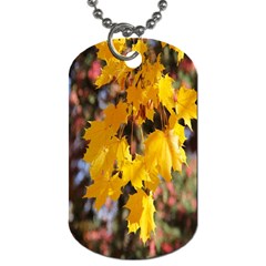 Amazing Arrowtown Autumn Leaves Dog Tag (two Sides)