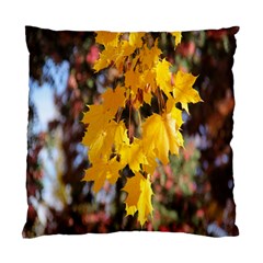 Amazing Arrowtown Autumn Leaves Standard Cushion Case (one Side) by artworkshop