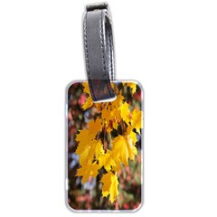 Amazing Arrowtown Autumn Leaves Luggage Tag (two Sides) by artworkshop