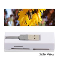 Amazing Arrowtown Autumn Leaves Memory Card Reader (stick) by artworkshop