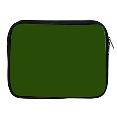 Forest Obsidian Apple Ipad 2/3/4 Zipper Cases by HWDesign