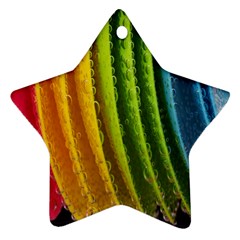  Colorful Illustrations Star Ornament (two Sides) by artworkshop