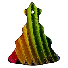  Colorful Illustrations Christmas Tree Ornament (two Sides) by artworkshop