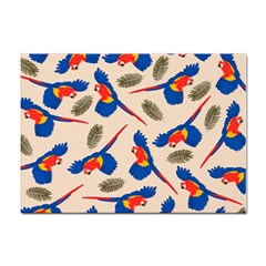 Bird Animals Parrot Pattern Sticker A4 (100 Pack) by Ravend