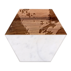 Asia Japan Pagoda Colorful Vintage Marble Wood Coaster (hexagon) 