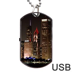 Chicago City Architecture Downtown Dog Tag Usb Flash (two Sides) by Ravend