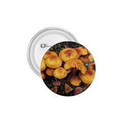 Orange Mushrooms In Patagonia Forest, Ushuaia, Argentina 1 75  Buttons by dflcprintsclothing