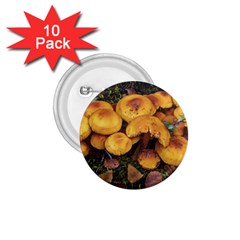 Orange Mushrooms In Patagonia Forest, Ushuaia, Argentina 1 75  Buttons (10 Pack) by dflcprintsclothing
