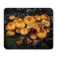 Orange Mushrooms In Patagonia Forest, Ushuaia, Argentina Large Mousepad by dflcprintsclothing