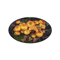 Orange Mushrooms In Patagonia Forest, Ushuaia, Argentina Sticker Oval (10 Pack) by dflcprintsclothing