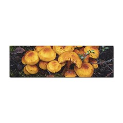 Orange Mushrooms In Patagonia Forest, Ushuaia, Argentina Sticker Bumper (100 Pack) by dflcprintsclothing