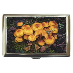 Orange Mushrooms In Patagonia Forest, Ushuaia, Argentina Cigarette Money Case by dflcprintsclothing