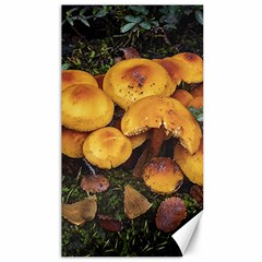Orange Mushrooms In Patagonia Forest, Ushuaia, Argentina Canvas 40  X 72  by dflcprintsclothing