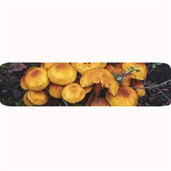 Orange Mushrooms In Patagonia Forest, Ushuaia, Argentina Large Bar Mat by dflcprintsclothing