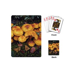 Orange Mushrooms In Patagonia Forest, Ushuaia, Argentina Playing Cards Single Design (mini) by dflcprintsclothing