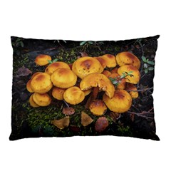 Orange Mushrooms In Patagonia Forest, Ushuaia, Argentina Pillow Case (two Sides) by dflcprintsclothing