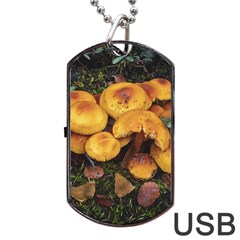 Orange Mushrooms In Patagonia Forest, Ushuaia, Argentina Dog Tag Usb Flash (two Sides) by dflcprintsclothing