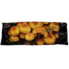 Orange Mushrooms In Patagonia Forest, Ushuaia, Argentina Body Pillow Case (dakimakura) by dflcprintsclothing