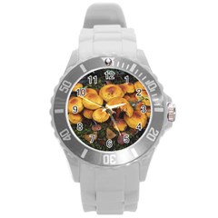 Orange Mushrooms In Patagonia Forest, Ushuaia, Argentina Round Plastic Sport Watch (l) by dflcprintsclothing