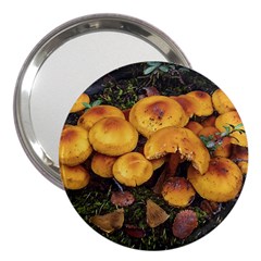 Orange Mushrooms In Patagonia Forest, Ushuaia, Argentina 3  Handbag Mirrors by dflcprintsclothing