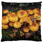 Orange Mushrooms In Patagonia Forest, Ushuaia, Argentina Large Premium Plush Fleece Cushion Case (Two Sides) Back