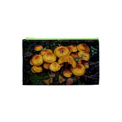 Orange Mushrooms In Patagonia Forest, Ushuaia, Argentina Cosmetic Bag (xs) by dflcprintsclothing