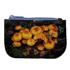 Orange Mushrooms In Patagonia Forest, Ushuaia, Argentina Large Coin Purse by dflcprintsclothing