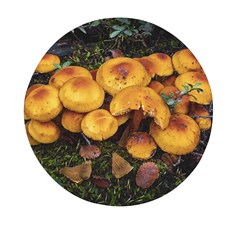 Orange Mushrooms In Patagonia Forest, Ushuaia, Argentina Mini Round Pill Box by dflcprintsclothing