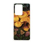 Orange Mushrooms In Patagonia Forest, Ushuaia, Argentina Samsung Galaxy S20 Ultra 6.9 Inch TPU UV Case Front