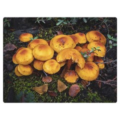 Orange Mushrooms In Patagonia Forest, Ushuaia, Argentina One Side Premium Plush Fleece Blanket (extra Small)