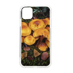 Orange Mushrooms In Patagonia Forest, Ushuaia, Argentina Iphone 11 Tpu Uv Print Case by dflcprintsclothing