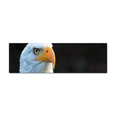 Bird Sticker Bumper (10 Pack)