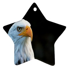 Bird Star Ornament (two Sides) by artworkshop