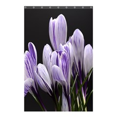 Crocus Flowers Purple Flowers Spring Nature Shower Curtain 48  X 72  (small) 