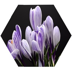 Crocus Flowers Purple Flowers Spring Nature Wooden Puzzle Hexagon by Ravend