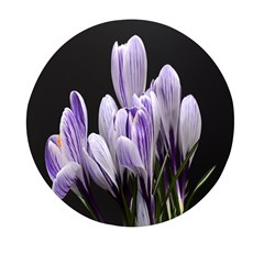 Crocus Flowers Purple Flowers Spring Nature Mini Round Pill Box (pack Of 5) by Ravend
