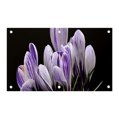 Crocus Flowers Purple Flowers Spring Nature Banner And Sign 5  X 3  by Ravend