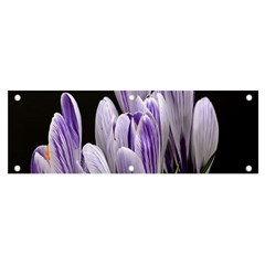 Crocus Flowers Purple Flowers Spring Nature Banner And Sign 6  X 2  by Ravend