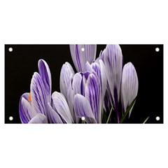 Crocus Flowers Purple Flowers Spring Nature Banner And Sign 6  X 3 