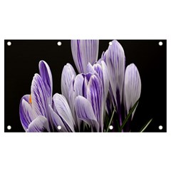 Crocus Flowers Purple Flowers Spring Nature Banner And Sign 7  X 4  by Ravend