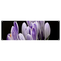 Crocus Flowers Purple Flowers Spring Nature Banner And Sign 12  X 4  by Ravend